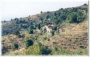 Veduta da Pulicciano