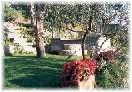Un angolo di giardino