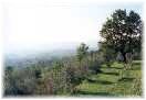 La bellezza della natura